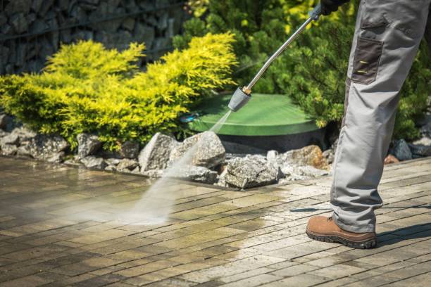 Pre-Holiday Cleaning in San Dimas, CA